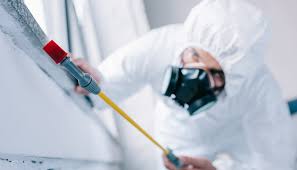 Best Commercial Pest Control  in Ash Grove, MO